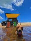 Bagageiro Stealth Inox Jimny + Toldo Lateral